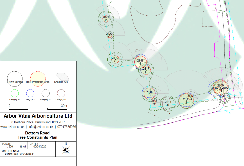 Tree Constraints Plan (cropped example) provided within a BS5837 survey