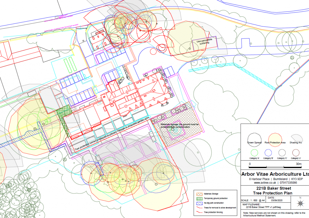 Tree Protection Plan diagram from example report