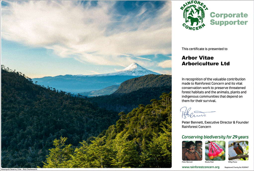 Rainforest Concern certificate for Arbor Vitae Arboriculture Ltd