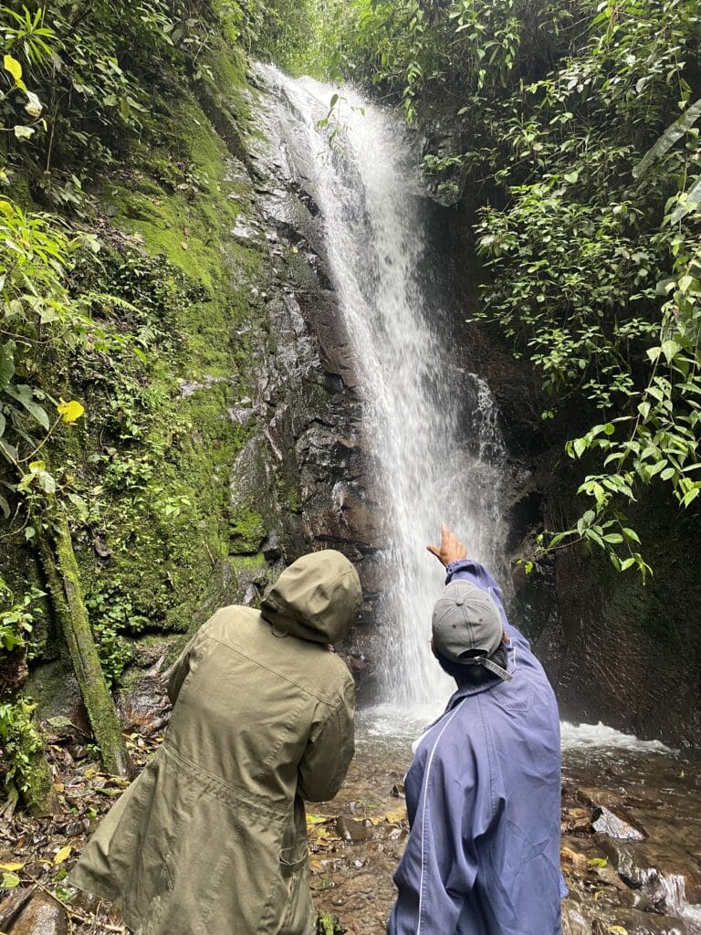 Waterfall in the rainforest